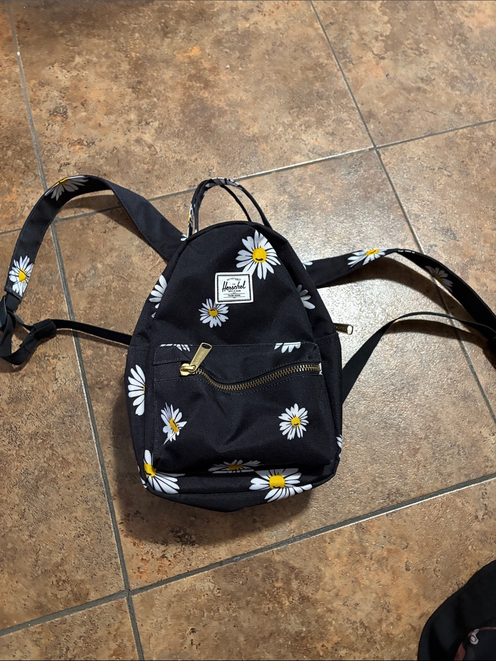Herschel Black Daisy Print Mini Backpack